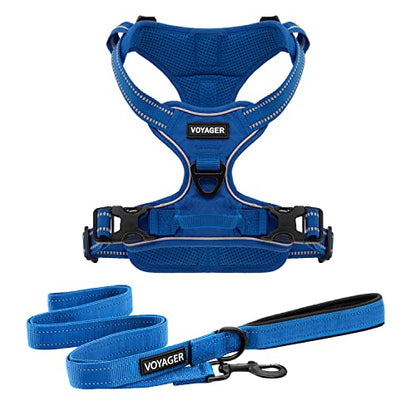 Voyager Dog Harness Dual Leash Attachment No-Pull Control Adjustable Soft but Strong Pet Harness for Medium and Large Dogs with 3M Reflective Technology, Leash Set Royal Nylon, S (Chest: 16-20") - color: Leash Set Royal Nylon, size: S (Chest: 16 - 20")