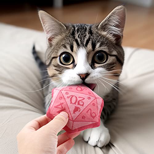 CiyvoLyeen D20 Dice Catnip Toy, DND Interactive Cat Toy Gifts for Role Playing Tabletop Game Soft Plush Funny Cute Kitten Teething Chew Pet Supplies Cat Lover Witchy Gift Idea Dnd Accessories Set of 5 - style: 5 Dices