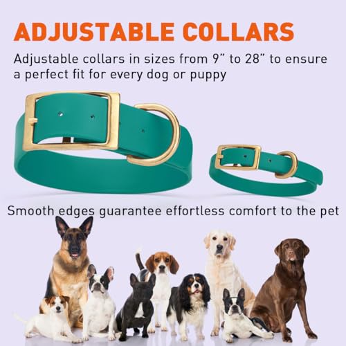 Viper Biothane Heavy Duty Waterproof Dog Collar Strong Coated Nylon Webbing w/Solid Brass Hardware Odor-Proof for Easy Care Easy to Clean High Performance Fits Small Medium or Large Dogs, Blue Aqua