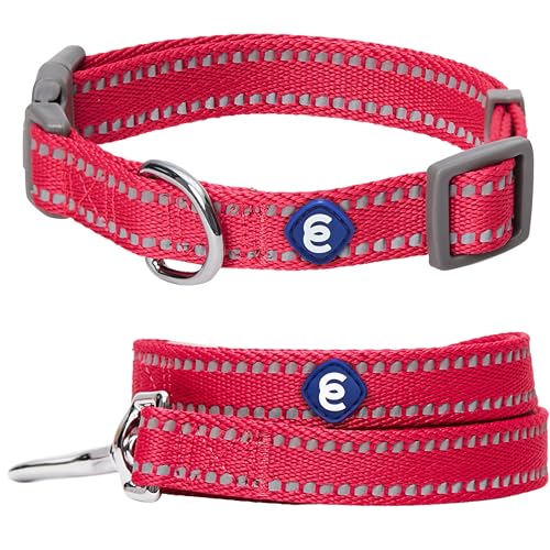 Blueberry Pet Essentials Matching Dog Collar & Leash Set | Pastel Reflective Adjustable Collar with 5 ft Lead for Medium Dogs, Very Berry - color: Very Berry, size: Medium