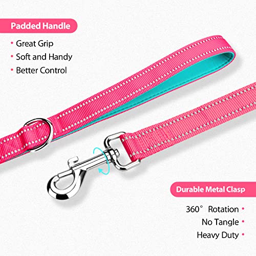 PHOEPET 5 Feet Dog Leash with Comfortable Padded Handle Easy Snap Clasp - Reflective Walking Lead for Large, Medium & Small Breed Dogs (Pink + Mint Green Base) - color: Pink + Mint Green Base