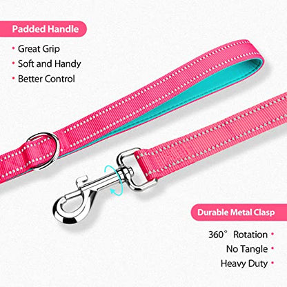 PHOEPET 5 Feet Dog Leash with Comfortable Padded Handle Easy Snap Clasp - Reflective Walking Lead for Large, Medium & Small Breed Dogs (Pink + Mint Green Base) - color: Pink + Mint Green Base
