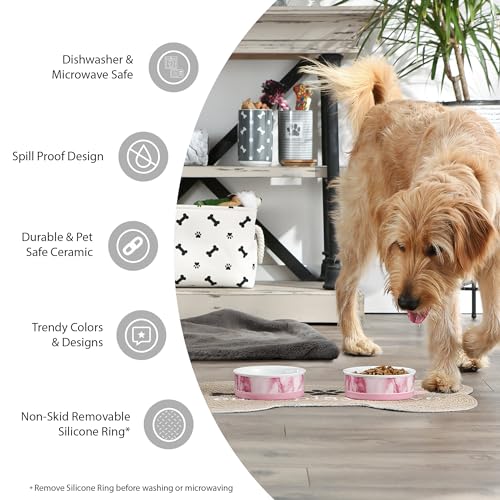 Bone Dry Ceramic Food Bowls, Non-Slip & Dishwasher Safe, Small Set, 4.25x2 Terrazzo - color: Terrazzo, size: Small Set, 4.25x2"