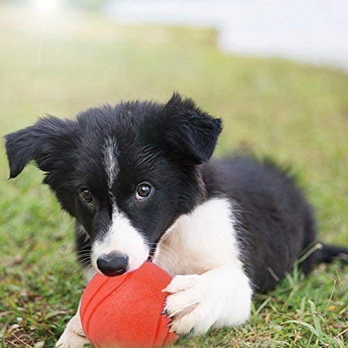 GaesQae Hard Rubber Balls for Dogs,Dog's Solid Rubber Bouncy Ball Bite Resistant and Indestructible Dog Training Ball,Dog Balls for Aggressive Chewers