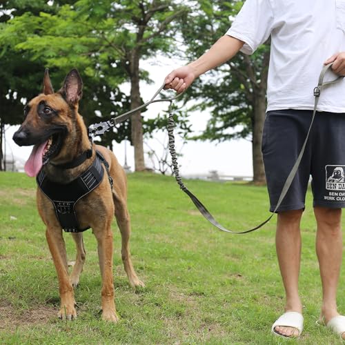 ICEFANG Tactical Dog Leash,K9 Training Walking Bungee Lead with 2 Control Handle,Heavy Duty Quick Release Metal Clasp,for Medium Large Breed (Reflective Green, 6 FT) - color: Reflective Green, size: 6 FT