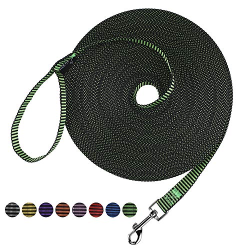 Hi Kiss Dog/Puppy Obedience Recall Training Agility Lead - 15ft 20ft 30ft 50ft 100ft Training Leash - Great for Training, Play, Camping, or Backyard(15ft,Black_Green) - color: S4.black_green, size: 15 Feet