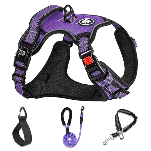 No Pull Dog Harness,Adjustable Oxford Dog Vest Harness with Leash,Reflective No-Choke Pet Harness with Easy Control Soft Handle for Large Dogs(Large,Purple) - color: Purple, size: 【L】neck 15-19" chest 19-29"