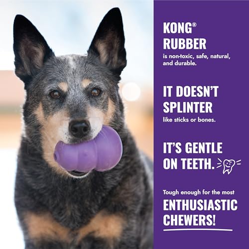 KONG Senior - Purple Rubber Dog Toy with Gentle, Natural Rubber - Durable Dog Toy for Older Dogs - Use Treats with Stuffable Chew Toy - Treat Toy for Chewing & Fetching (2 Pack) (Small) - size: Small