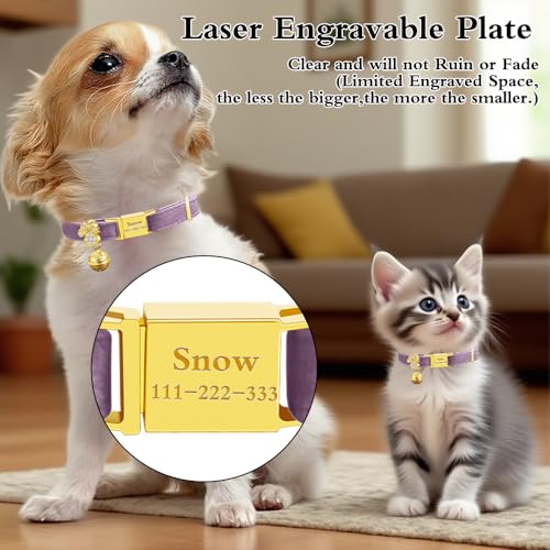 Personalized Breakaway Cat Collars - Magnetic Buckle, Bell - Safety Quick Release, Customized for Girls & Boys Cats- (Velvet-Deep Purple) - color: Velvet-Deep Purple