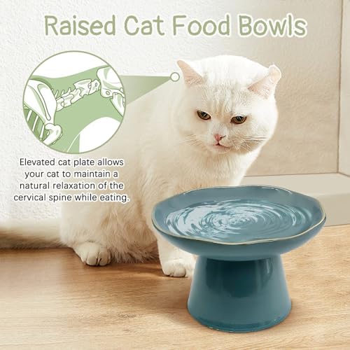 VCEPJH Raised Cat Food Bowls Shallow Cat Plate Ceramic Elevated Cats Dish 6.1in Flat Anti Whisker Fatigue Wide Pet Food & Water Feeder for Indoor Kitty Kitten (Blue) - color: blue