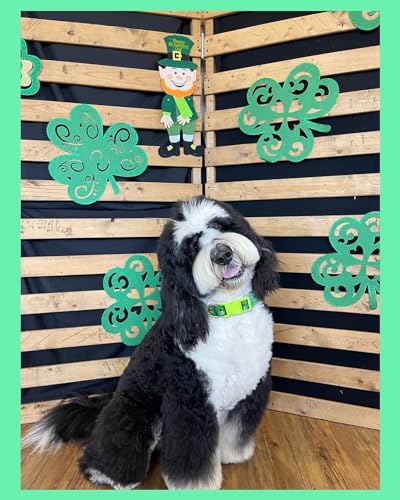 St Patricks Day Dog Collar 2 Pack, Shamrock Dog Collar Green for Medium Dogs - color: St Patricks Day, size: M