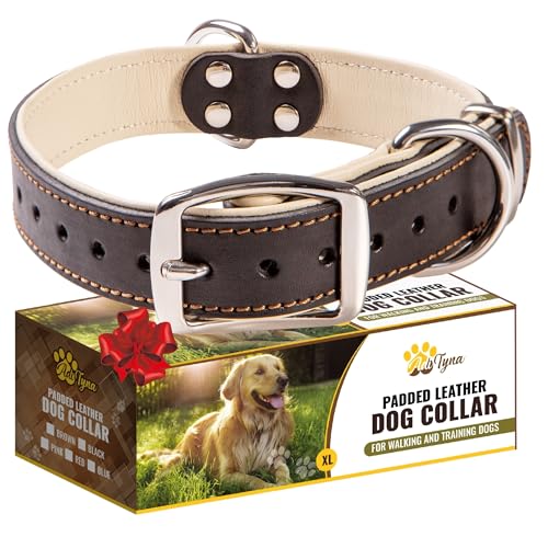 ADITYNA Heavy-Duty Leather Dog Collar for Medium Dogs - Soft Padded for Comfort - Black Dog Collar for Walking, Training, and Hiking - color: Black, size: Medium: Fit 13-20" Neck
