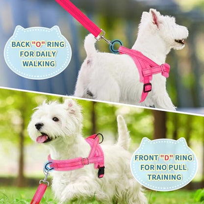 Lukovee No Pull Dog Harness and Leash Set, Soft Padded Small Dog Harness, Neck & Chest Adjustable Reflective Vest Puppy Harness with 4ft Lightweight Anti-Twist Dog Leash for Small Dogs (XS, Pink) - color: B-pink, size: XS ( Chest 14'' ~ 18'')