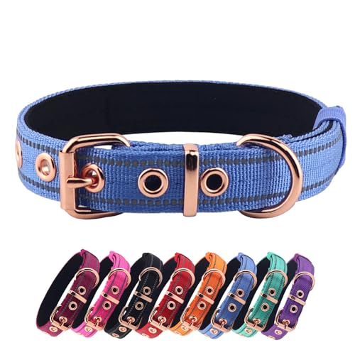 Neoprene Padded Dog Collar, Nylon Collar for Small to Large Dogs, Heavy Duty with Metal Buckle, Reflective(Small, Blue) - color: Blue, size: Small(Pack of 1)