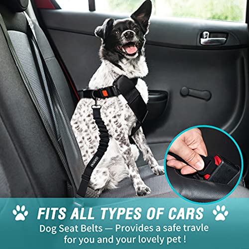 Dog Seat Belt,Retractable Dog Car Harness Seat Belt for Car Adjustable Nylon Pet Safety Seat Belts Heavy Duty & Elastic Bungee Buffer - color: 03-Teal