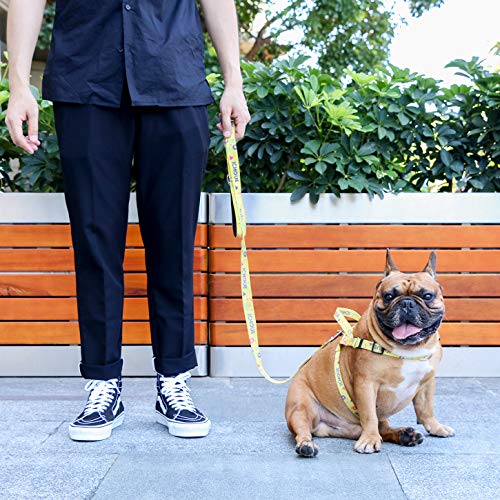 iChoue French Bulldog Harness Adjustable Locked Buckle with Handle for Frenchie Pug English Boston Terrier Dogs, Yellow, Small - color: A Harness Yellow, size: Small ( 5 - 25 lbs )