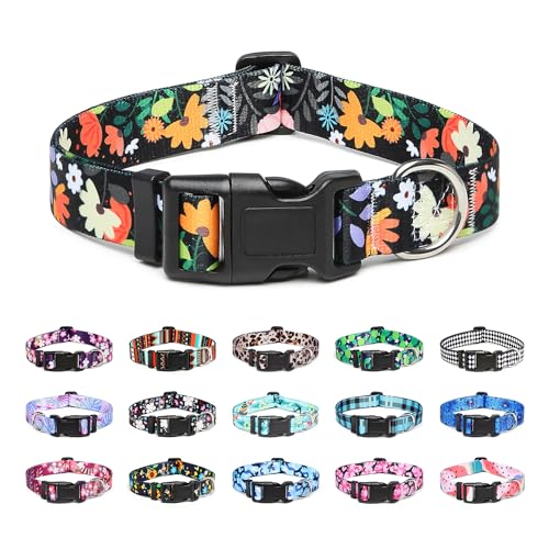 Mercano Adjustable Dog Collar - Special Design Patterns, Soft Nylon Comfortable Sturdy Pet Collar for Small Medium Large Dogs (XS, Floral Orange) - color: Floral Orange, size: Extra Small