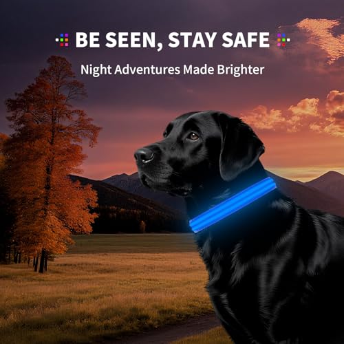 Dog Light up Collar for Night Walking - High Visibility LED Dog Collar - Rechargeable - Waterproof - Reflective - Adjustable Lighted Glow Collars(Blue,Medium) - color: Blue, size: Medium (14" - 19" )