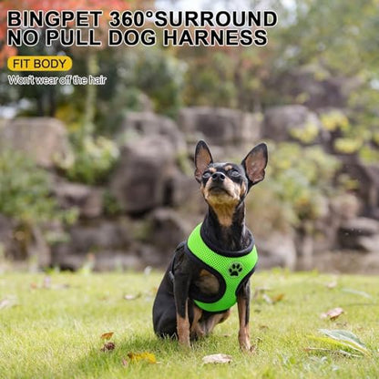 BINGPET Small Dog Harness, No Pull Dog Harness Small Sized Dogs, Soft Light Breathable Mesh Puppy Vest with Safety Buckle-Adjustable Step in Pet Harnesses for Easy Walking, Running, Training - color: Green, size: XS (NECK: 10", CHEST: 10"-14")