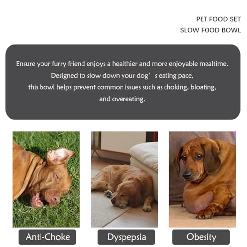 Fermus Metal Dog Slow Feeder Bowl, Stainless Steel Anti-Choke Slow Eating Pet Bowl for Dogs, Fun Interactive Design