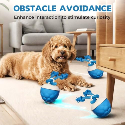 Interactive Dog Toys Touch Activated Bouncing & Jumping Dog Ball with Rope, Smart Automatic Rolling Toy, USB Rechargeable, Squeaky Doggie Toys to Keep Them Busy (Orange) - color: Orange