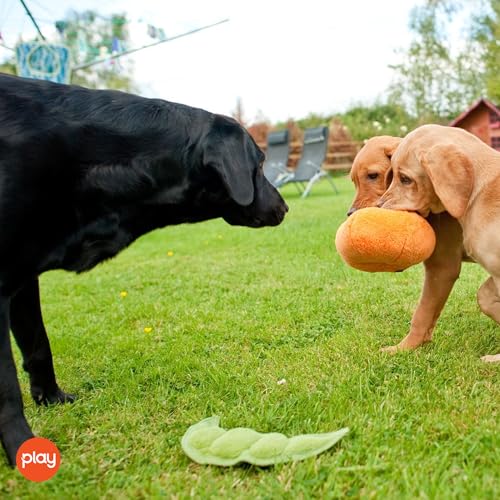 P.L.A.Y. Cute Plush Dog Toys - Fruit & Vegetable Themed Durable Squeaker Chew Toy, Great for Puppies & Small, Medium, Large Dogs - Machine Washable, Recycled Materials (Garden Fresh Peapod, X-Small) - color: Peapod, size: X-small