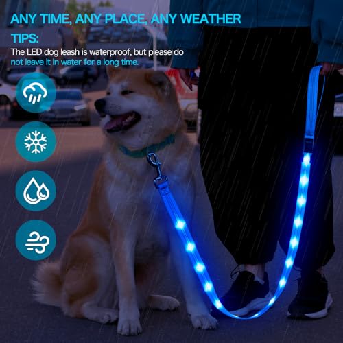 Weesiber Light Up Dog Leash, 4ft LED Dog Leash Rechargeable Safety Glow in The Dark Puppy Lead Safety Pet Lights for Night Walking (Blue) - color: Blue