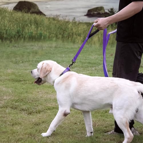 Wagtime Club Double Handle Dog Leash, 6ft Long Heavy Duty Dog Leash with Paded Traffic Handles for Extral Control and Training, Dual Handles Leads, Large Medium Small Dogs (Reflective Vibrant Purple) - color: Reflective Vibrant Purple