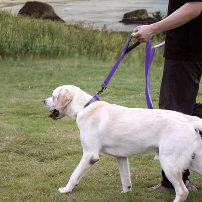 Wagtime Club Double Handle Dog Leash, 6ft Long Heavy Duty Dog Leash with Paded Traffic Handles for Extral Control and Training, Dual Handles Leads, Large Medium Small Dogs (Reflective Vibrant Purple) - color: Reflective Vibrant Purple