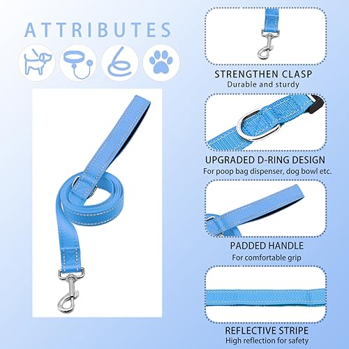 Reflective Dog Collar with Safety Locking Buckle, Adjustable Soft Breathable Nylon Collars for Small, Medium and Large Dogs(Collar+Leash XS Width 3/8" Sky Blue) - color: Sky Blue, size: XX-Small (Width 3/8")