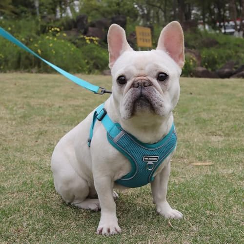 Dog Harness and Leash Set, Adjustable Triangle, Reflective Adjustable Puppy Vest, No Pull Soft Mesh Harness for Small, Medium Dogs, Cats (Turquoise, M) - color: Turquoise, size: M