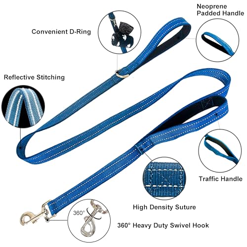 Dual Padded Handle Standard Dog Leashes with Reflective Stitching,360° Rotatable Heavy Duty Metal Buckle,D-Ring,Durable Nylon,for Medium Sized Dogs from 20 to 60 Pounds Walking and Training Blue 5Ft - color: Blue, size: 5Ft