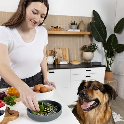 Should We Go? Slow Feeder for Dogs & Puppies, The Slowdown Bowl Silicone Slow Eating, Modern Lick Mat Design, Reduces Gulping, Fits 2 Cups, 7.5” Across x 1.5” Tall, Mealtime Challenge, Medium-Charcoal - color: Charcoal - Rainbow Design, size: Medium (7.5”