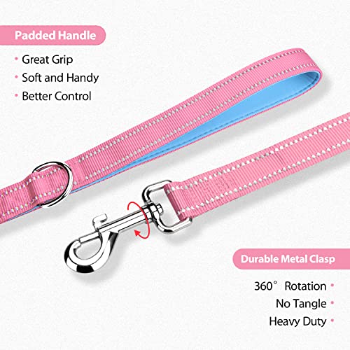 PHOEPET 5 Feet Dog Leash - Dual-Side Reflective - Soft Padded Handle - Fit for Walking, Training or Exploring Hiking, Camping (Baby Pink + Blue Base) - color: Baby Pink + Blue Base