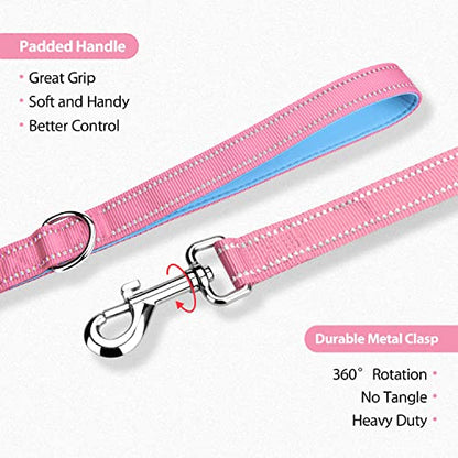 PHOEPET 5 Feet Dog Leash - Dual-Side Reflective - Soft Padded Handle - Fit for Walking, Training or Exploring Hiking, Camping (Baby Pink + Blue Base) - color: Baby Pink + Blue Base