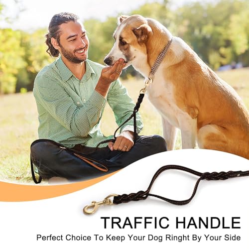 Guiding Star Double Handle Leather Dog Leash 6ft, Heavy Duty Braided Dog Leash with Traffic Handle for Small Medium & Large Dogs (Black, 6ft x 5/8 inch) - color: Black