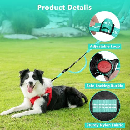 Hands Free Dog Leash with Zipper Pouch, Running Waist Leash for Dog Walking, Adjustable Waist Belt for Large Dogs, Reflective Bungee Design with Two Handle for Hiking, Training, Teal - color: Teal