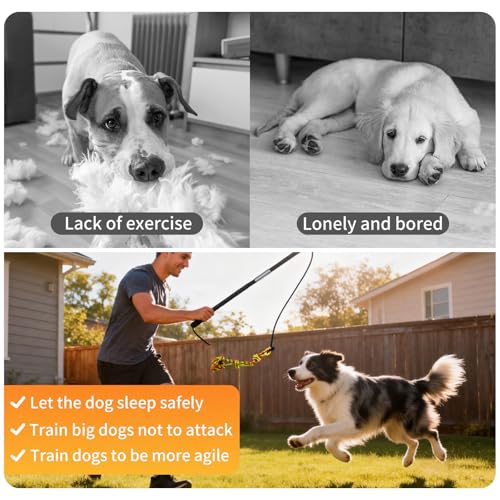 Flirt Pole for Dogs Heavy Duty - Dog Chase Toy with Squeak Toy & Braided Rope, Upgraded XL Carry Bag, Lightweight Interactive Wand for Small Medium Breeds, Indoor & Outdoor Training