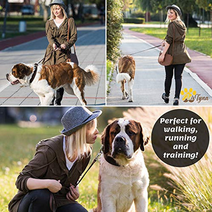 ADITYNA Heavy Duty Leather Dog Leash 6 ft x 1" - Strong, Soft Training Lead for Large & Extra Large Breeds (XL - 6 ft x 1 inch, Brown) - color: Brown, size: XL - 6 ft x 1 inch