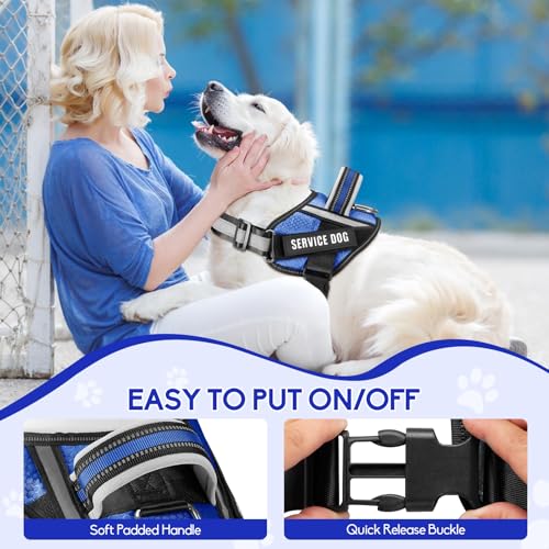 Service Dog Vest Harness and Leash Set, Animire in Training Dog Harness with 10 Dog Patches, Reflective Dog Leash with Soft Padded Handle for Small, Medium, Large, and Extra-Large Dogs (Blue, XS) - color: Blue, size: XS