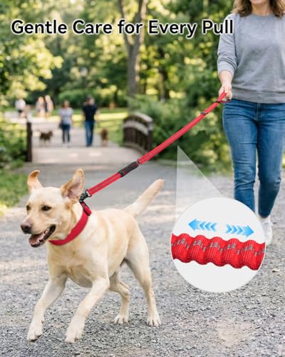 Joytale Tactical Dog Leash Heavy Duty, 4-6FT Shock Absorbing Bungee Lead with 2 Padded Handle, Metal Carabiner Clip, Car Seatbelt, Strong No Pull Leash for Medium Large X-Large Dogs, Red - color: Red