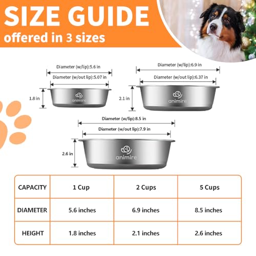 2-in-1 Metal Dog Bowl with Slow Feeder Insert, Stainless Steel Dog Bowls Food Grade 304, Water Food Bowl with Anti-Slip Silicone Base for Small, Medium, Large Dogs - color: Grey, size: 5 Cups