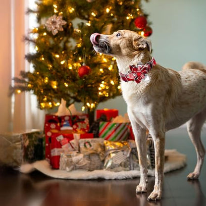 Dog Collar, Christmas Plaid Pet Collars with Flower Holiday Girl Boy Puppy Collar Adjustable Pet Collar for X-Small Dogs - color: Red Plaid, size: X-Small (Pack of 1)