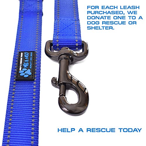 Max and Neo Small Dog Leash - Reflective Nylon, Donates to Dog Rescue (Teal, 4x5/8) - color: TEAL, size: 4 FT x 5/8" Wide