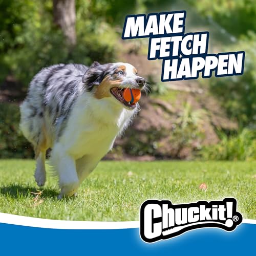 Chuckit! Ultra Ball Dog Toy - Medium Bouncy Fetch Balls For Dogs 20-60 lbs - Made from Durable Rubber - Floating Water Pet Toys - Size Medium - 2.5-inch Diameter - Pack of 4 - size: Medium, style: Medium (4 Pack)