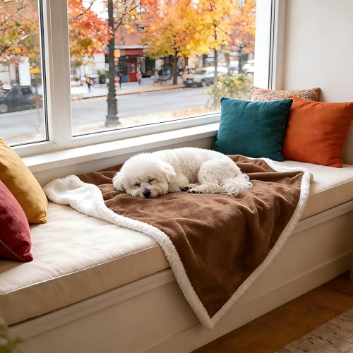 Dog Blankets for Small Dogs, Soft Puppy Blanket, Pet Blankets for Cats, Lightweight & Washable, Perfect for Dog Beds, Car Seats, Creat, 30x40 inches - color: Brown