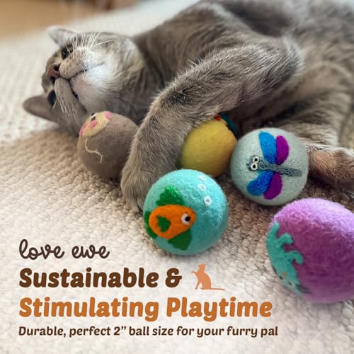 Hustle & Blush Love Ewe Felted Cat Toys 3 Pack - 2 Inch Dragonfly & Butterfly Hand Made Cute & Fun Design Kitten Wool Felt Balls for Indoor Play & Exercise - 100% New Zealand Handmade Felted Balls - color: Dragonfly/Butterfly