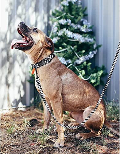 Roses&Poetry Dog Collar with Colourful Checkered Patterns, Adjustable Durable Puppy Collars for Small Medium Large Dogs (Black & White-XS) - color: Checkered, size: XS