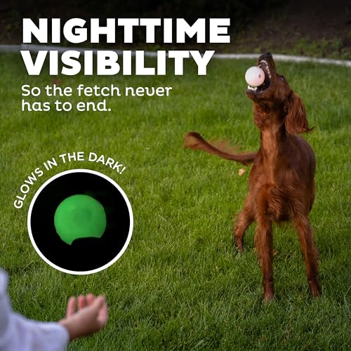 Outward Hound by Planet Dog Strobe Ball Glo Light Up LED Ball Dog Toy - color: Glow in the Dark Strobe Toy