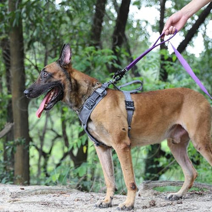 ICEFANG Relfective Dog Leash for Medium Large Dogs,K9 Training Walking Lead with Double Handle,Heavy Duty Auto-Lock Metal Clasp (6ft, Purple) - color: Purple, size: 6 ft (No bungee)